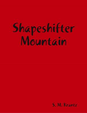 Book cover of Shapeshifter Mountain
