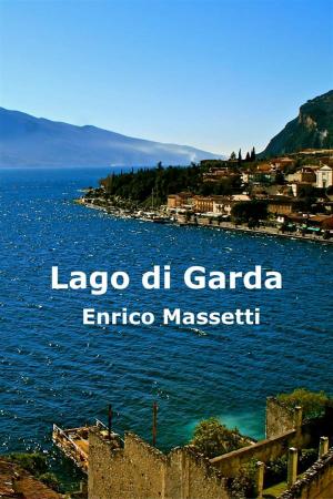 Book cover of Lago Di Garda