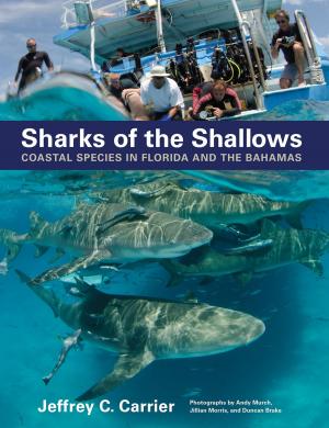 Book cover of Sharks of the Shallows