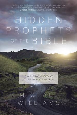 Book cover of Hidden Prophets of the Bible