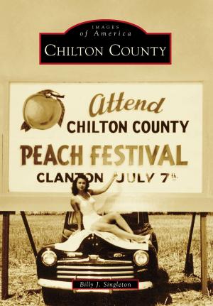 Cover of the book Chilton County by E.J. Stephens, Kim Stephens