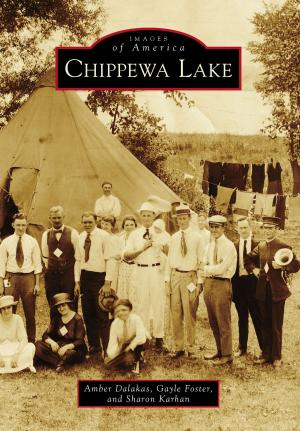 Cover of the book Chippewa Lake by Joy Keniston-Longrie