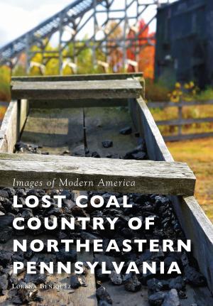 Cover of the book Lost Coal Country of Northeastern Pennsylvania by David H. Steinberg, Chattanooga Choo Choo