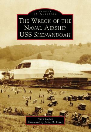Cover of the book The Wreck of the Naval Airship USS Shenandoah by Laurie Schreiber