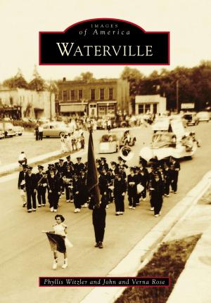 bigCover of the book Waterville by 