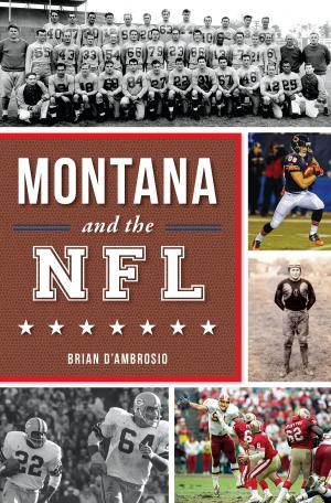 Cover of the book Montana and the NFL by Rick Harris