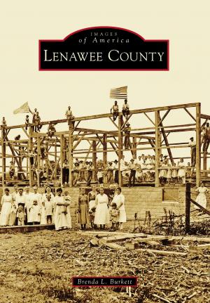 Cover of the book Lenawee County by Nanci Monroe Kimmey, Georgia Kemp Caraway