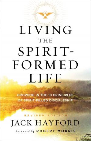 Cover of the book Living the Spirit-Formed Life by Elizabeth Camden