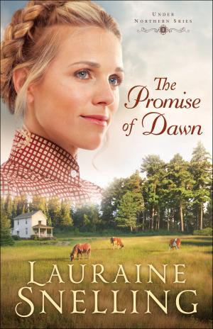 Cover of the book The Promise of Dawn (Under Northern Skies Book #1) by Brad Harper, Paul Louis Metzger
