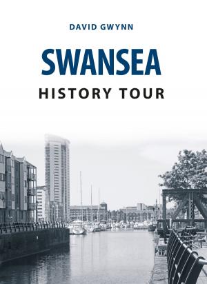 Book cover of Swansea History Tour