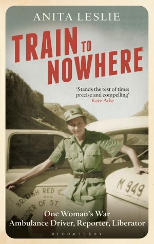 Book cover of Train to Nowhere
