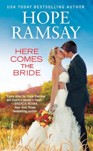 Cover of the book Here Comes the Bride by Katee Robert