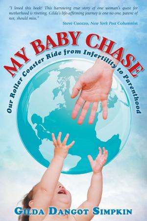 Cover of the book My Baby Chase: Our Roller Coaster Ride from Infertility to Parenthood by Bruce E. Dunn