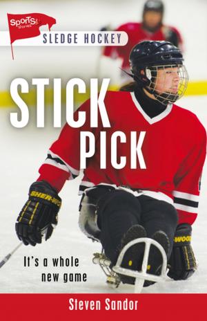 Cover of the book Stick Pick by Camilla Reghelini Rivers
