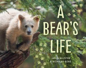Cover of the book A Bear's Life by Leanne Lieberman