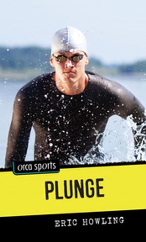 Cover of the book Plunge by Kristen Butcher