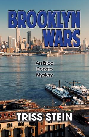 Book cover of Brooklyn Wars
