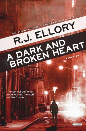 Cover of the book A Dark and Broken Heart by Jillian Tamaki