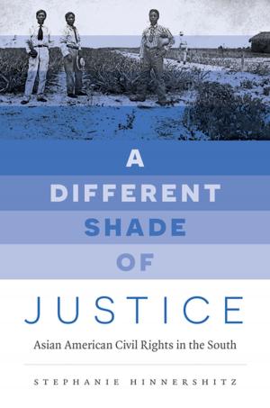 Cover of the book A Different Shade of Justice by Johanna Schoen