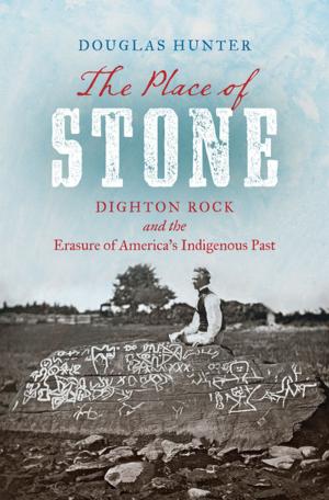 bigCover of the book The Place of Stone by 