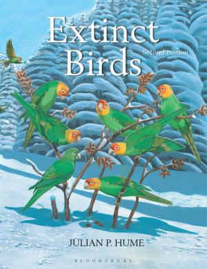 Cover of the book Extinct Birds by Alessandra Zanobi