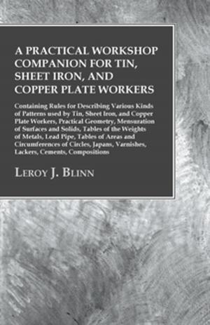 Book cover of A Practical Workshop Companion for Tin, Sheet Iron, and Copper Plate Workers