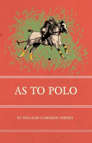 Cover of the book As to Polo by Hans Christian Andersen