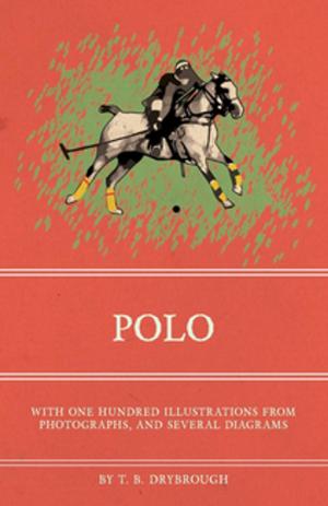 Cover of Polo - With One Hundred Illustrations from Photographs, and Several Diagrams