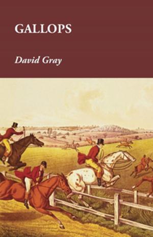 Book cover of Gallops