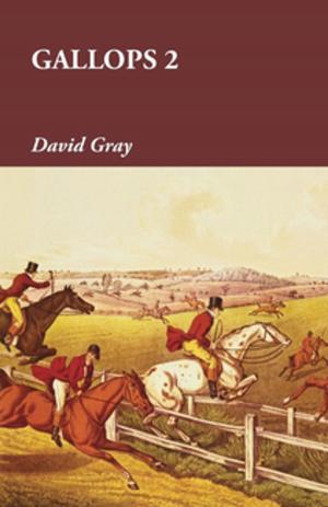 Book cover of Gallops 2