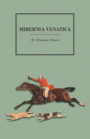 bigCover of the book Hibernia Venatica by 