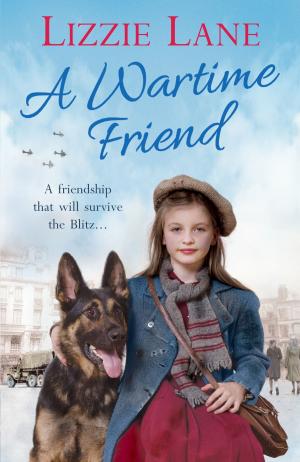 Cover of the book A Wartime Friend by Griff Rhys Jones