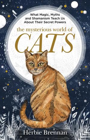 Cover of the book The Mysterious World of Cats by Patricia Robins