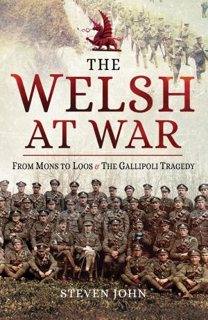 Book cover of The Welsh at War