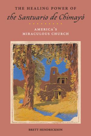 Cover of the book The Healing Power of the Santuario de Chimayó by Michael Bonura