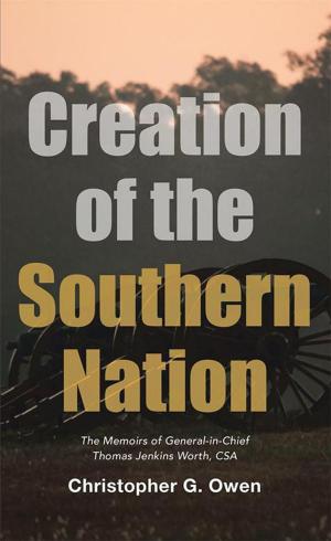 Book cover of Creation of the Southern Nation