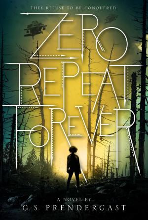 Cover of the book Zero Repeat Forever by Ellen Wittlinger