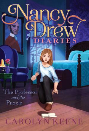 Cover of the book The Professor and the Puzzle by Lisa McMann