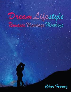 Cover of the book Dream Lifestyle by Zohair A. Sebai