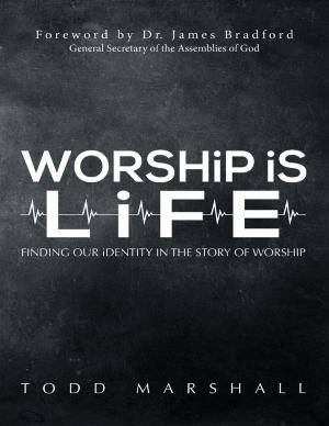 Cover of the book Worship Is Life: Finding Our Identity In the Story of Worship by Chris Leandro