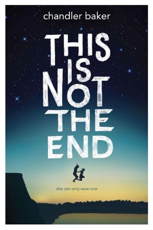 Cover of the book This is Not the End by Elizabeth Rudnick