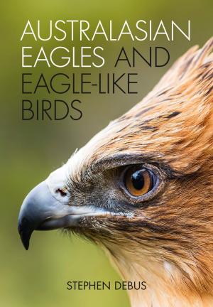 Cover of the book Australasian Eagles and Eagle-like Birds by F David Hockings AM