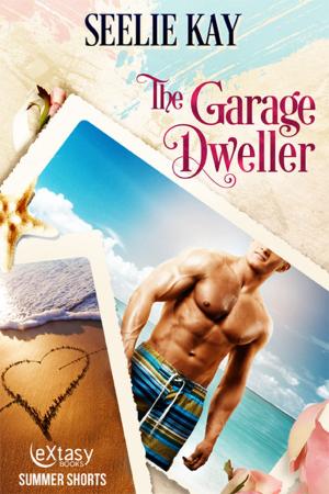 Book cover of The Garage Dweller