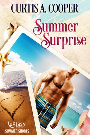 Cover of the book Summer Surprise by Viola Grace
