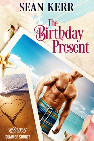 Cover of the book The Birthday Present by Catherine Lievens