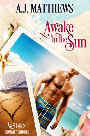 Cover of the book Awake In The Sun by Celine Chatillon