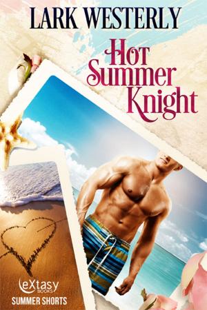 Cover of the book Hot Summer Knight by D. W. Adler