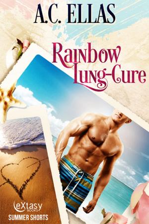 Cover of the book Rainbow Lung-Cure by D.J. Manly