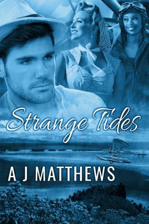Cover of the book Strange Tides by K.L.A. Hyatt