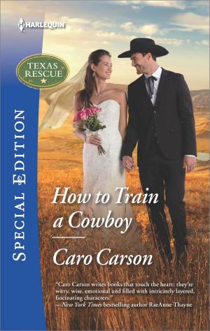 Cover of the book How to Train a Cowboy by Rebecca Kertz